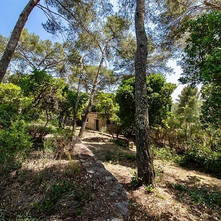 Villa D'engance Et Ses Dependances Nimes